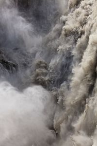 Foss 2