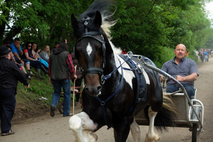 Appleby Fair 6