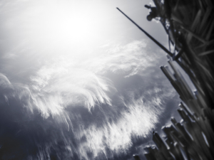 One sky above