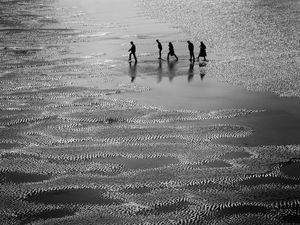 The Crossing