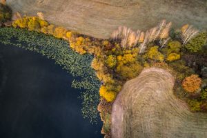 Lakeshore Operations | Fall Series #04