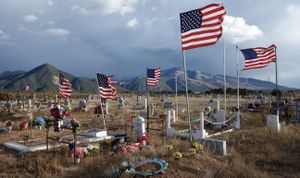 Wind Whipped Flags