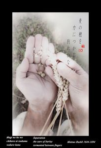 "Separation" from the research "Haiku"  © Roberto Spotti