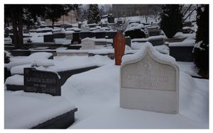 2015 is the 20th anniversary of the finish of the siege of Sarajevo, which marked the beginning of the Bosnian War (1992-1995). During the war, approximately 30,000 Bosnians were massacred by the Serbian Army in the first act of genocide on European soil since the Holocaust.