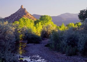Near Ojo Caliente. North West.