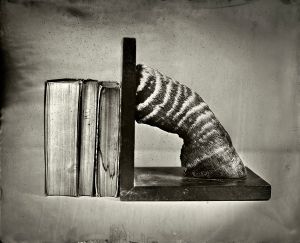 Zebra Bookend