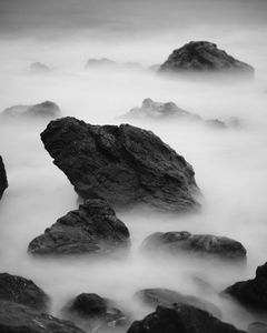 Coastal Shore 7