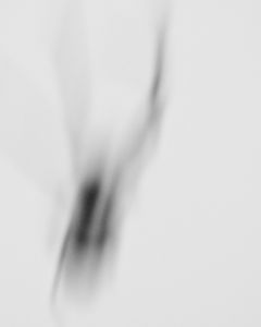 Speed