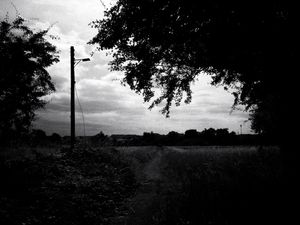 Fields