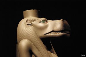 Meeting_Eyes_33
