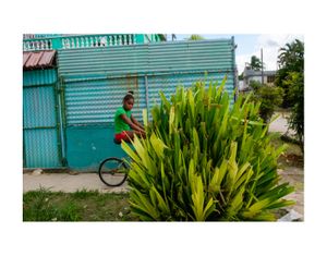 Havana Colors
