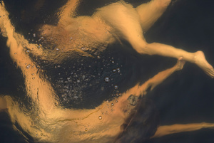 Circle1