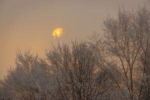 Sun Filter