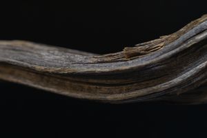 Movement VI