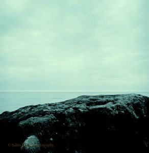 © Sahin Domin