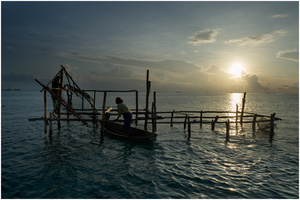 Stateless Families 05