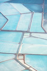Blue Fields No 6