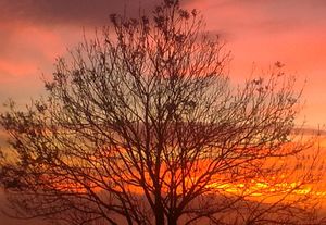 Ditchling sky 4