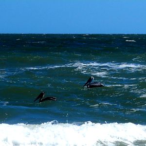 Kure Beach 31