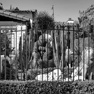 Front Yard with Statues, Los Angeles, California
