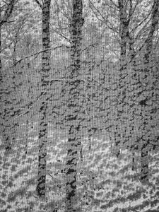 Untitled, Deep River, CT 12 30 17