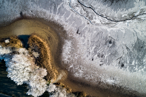 Lakeshore Operations | Ground Level Series #03