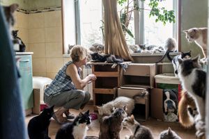 Tatyana and cats
