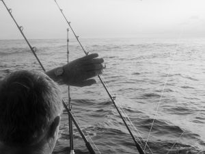 Time to Fish