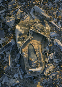 Forgotten Footsteps
