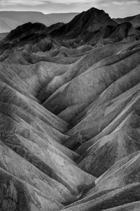 Natures Folds