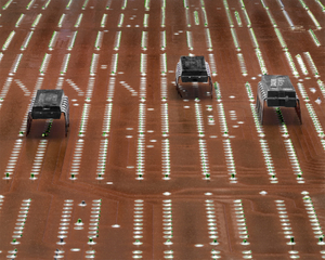 Robotic Farm