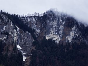 Cliffside in fog