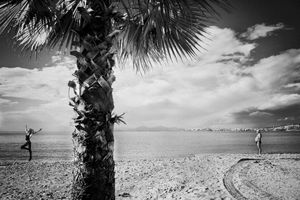 EXOTIC LANDSCAPE
