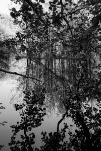 Reflections I