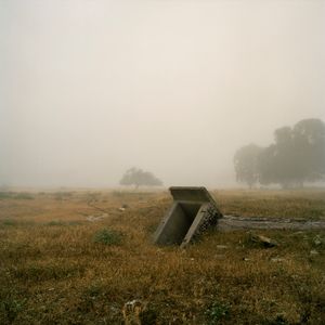 Untitled;
