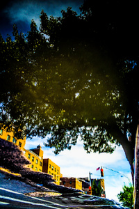Chelsea