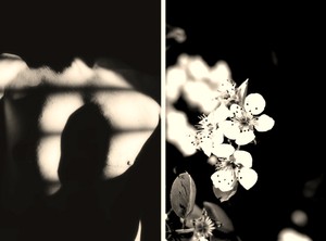 Flower brain