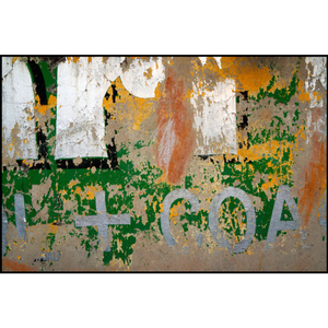 '+ COA' 2014⁠ — in Jaipur, Rajasthan