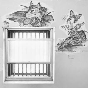 Maitland Gaol.