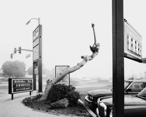 Tree With Severed Limb #1  © David Paul Bayles