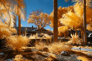CALIFORN-IR