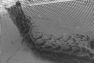 Long held behind screen