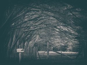 Old Grove Road (Series - 2 of 3)
