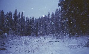 Winterstanders 02