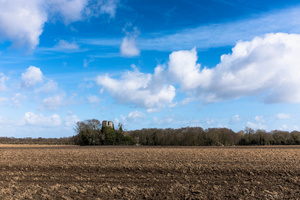 St. Mary's, Fleggburgh
