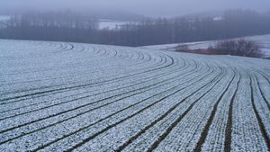 Snowy hills