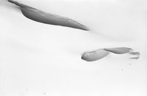 Nel Bianco