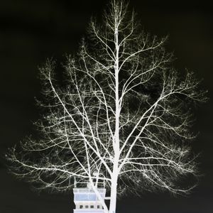 symbolic reparation I
