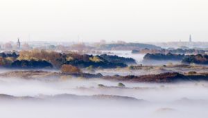 Amsterdam Waterleiding dunes