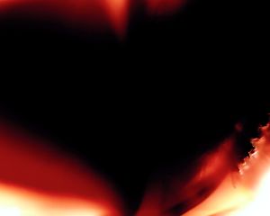 Body Archive
